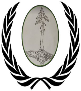 The Unexpected Minimalist